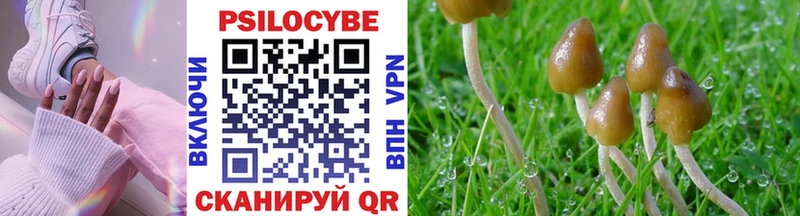купить  цена  мега ССЫЛКА  Галлюциногенные грибы Psilocybe  Георгиевск 