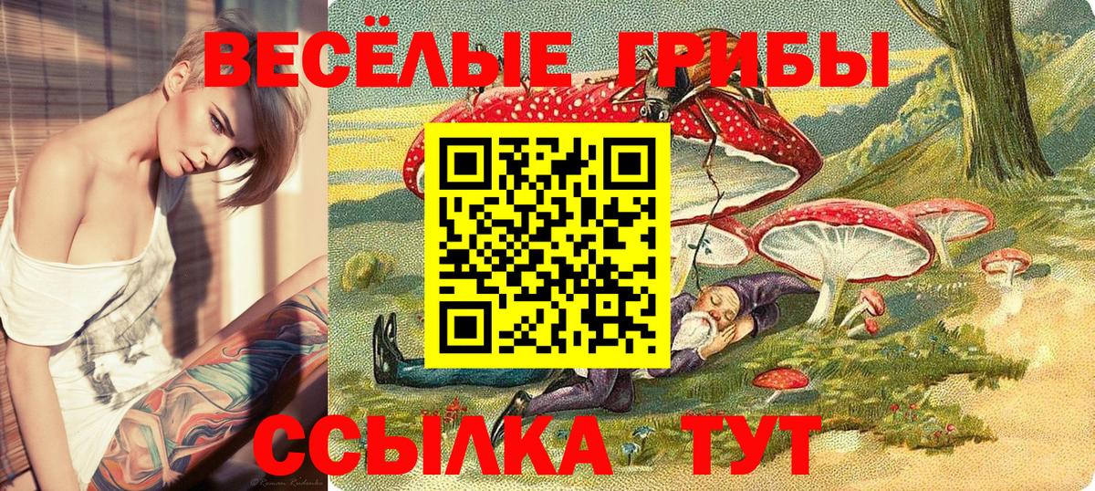 Галлюциногенные грибы Magic Shrooms Георгиевск